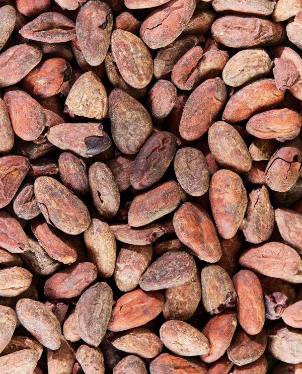 Fèves de cacao